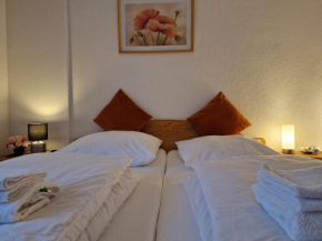 Holiday Apartment near Triberg Waterfall
